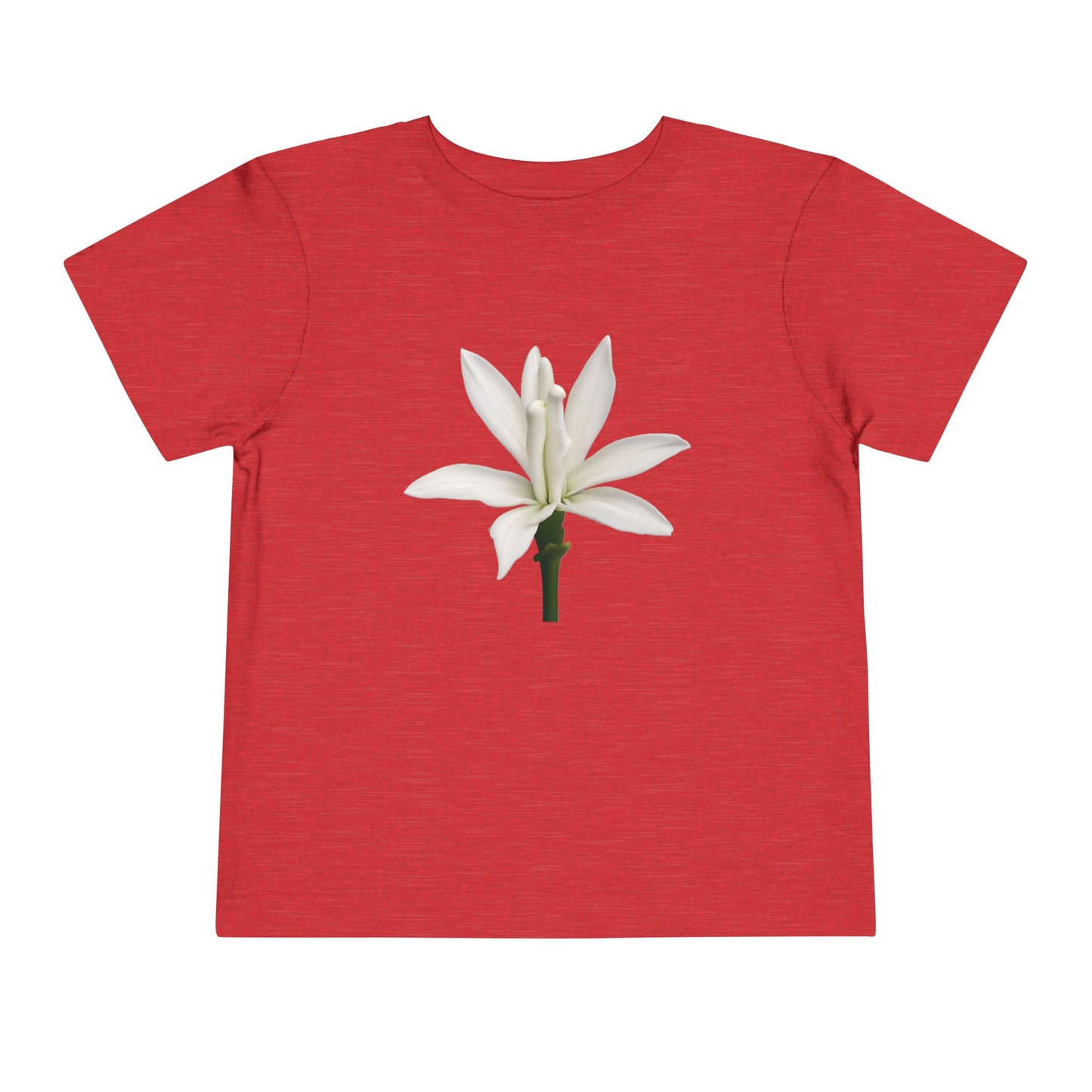 Camiseta Infantil Nardo